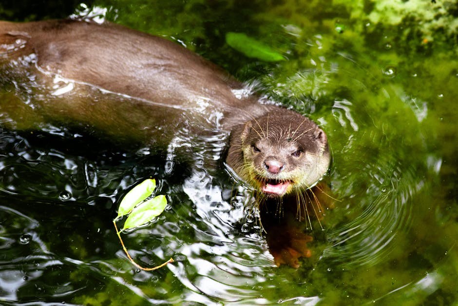 Smiju li psi jesti laneno sjeme? Je li laneno sjeme sigurno za pse?