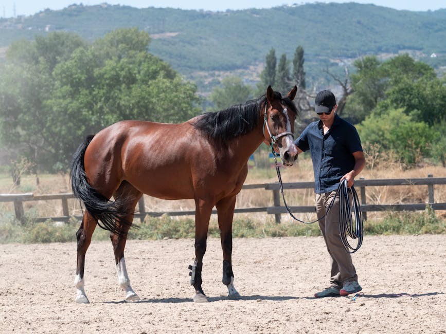 Smiju li psi jesti laneno sjeme? Je li laneno sjeme sigurno za pse?