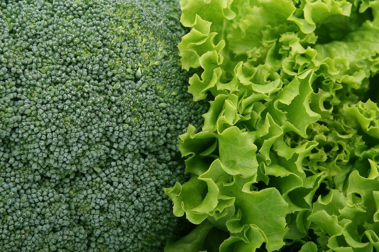 Smiju li psi jesti couscous ? Je li siguran za njih?