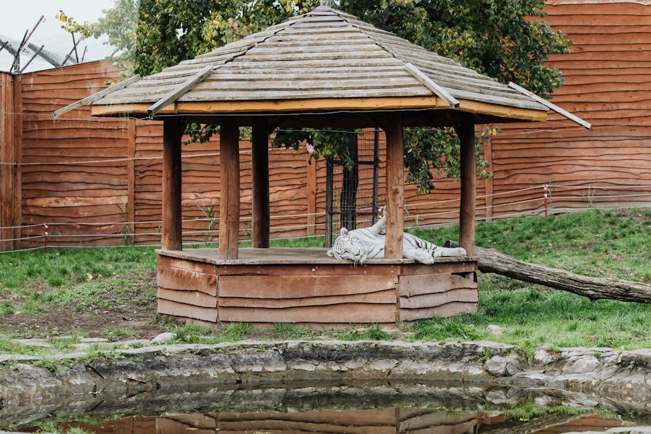 Smiju li psi jesti lješnjake i je li to sigurno?