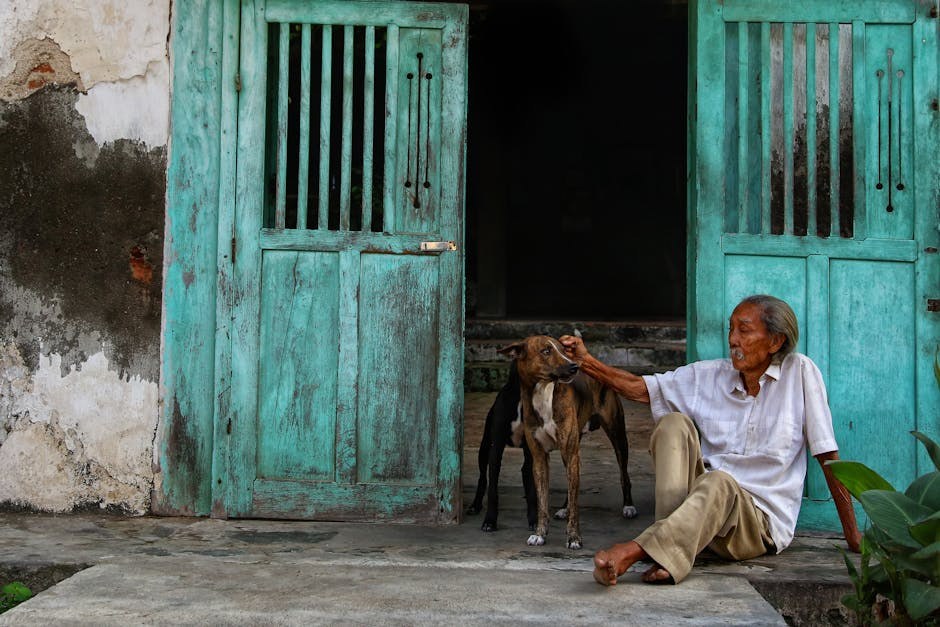 Trombocitopatije kod pasa: simptomi, uzroci i liječenje
