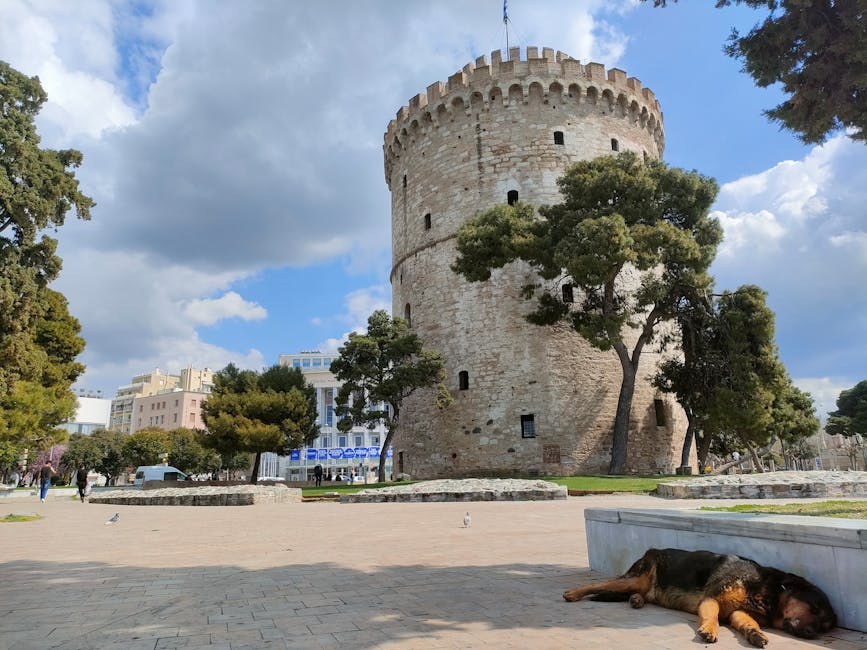Pravilna dentalna njega psa može produžiti njegov život i očuvati zdravlje