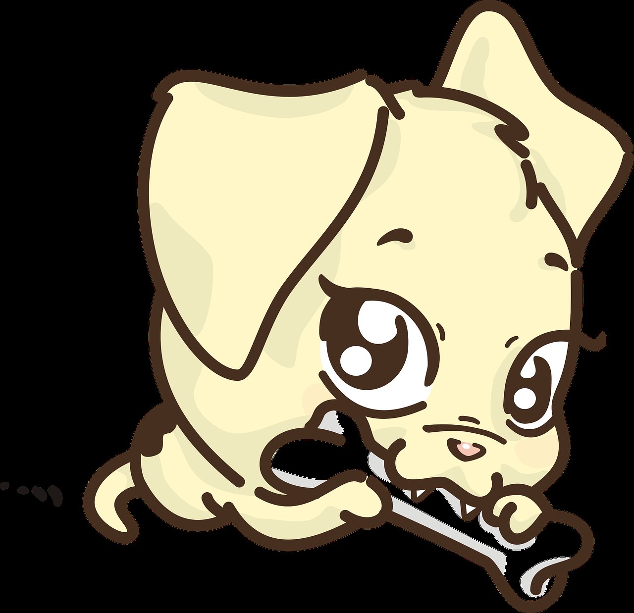 psi koji se ne linjaju: top 20 pasmina za čišći dom