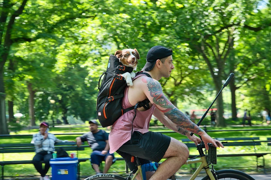 Distrofija rožnice kod pasa: simptomi, uzroci i liječenje