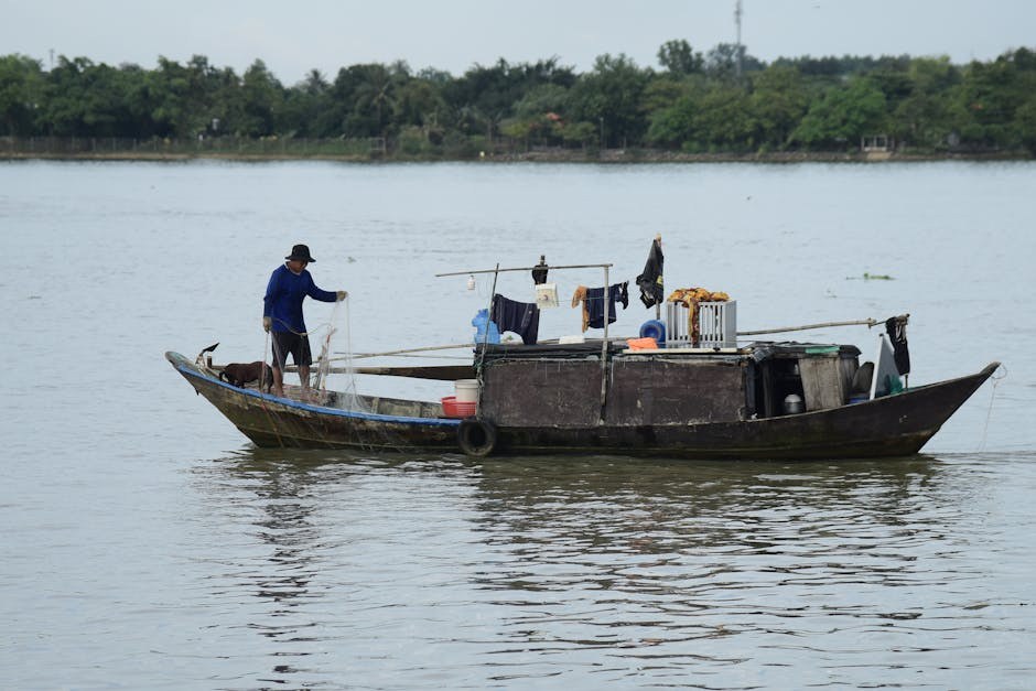 Koliko riječi razumiju službeni psi i kako to čini obuku dostupnijom