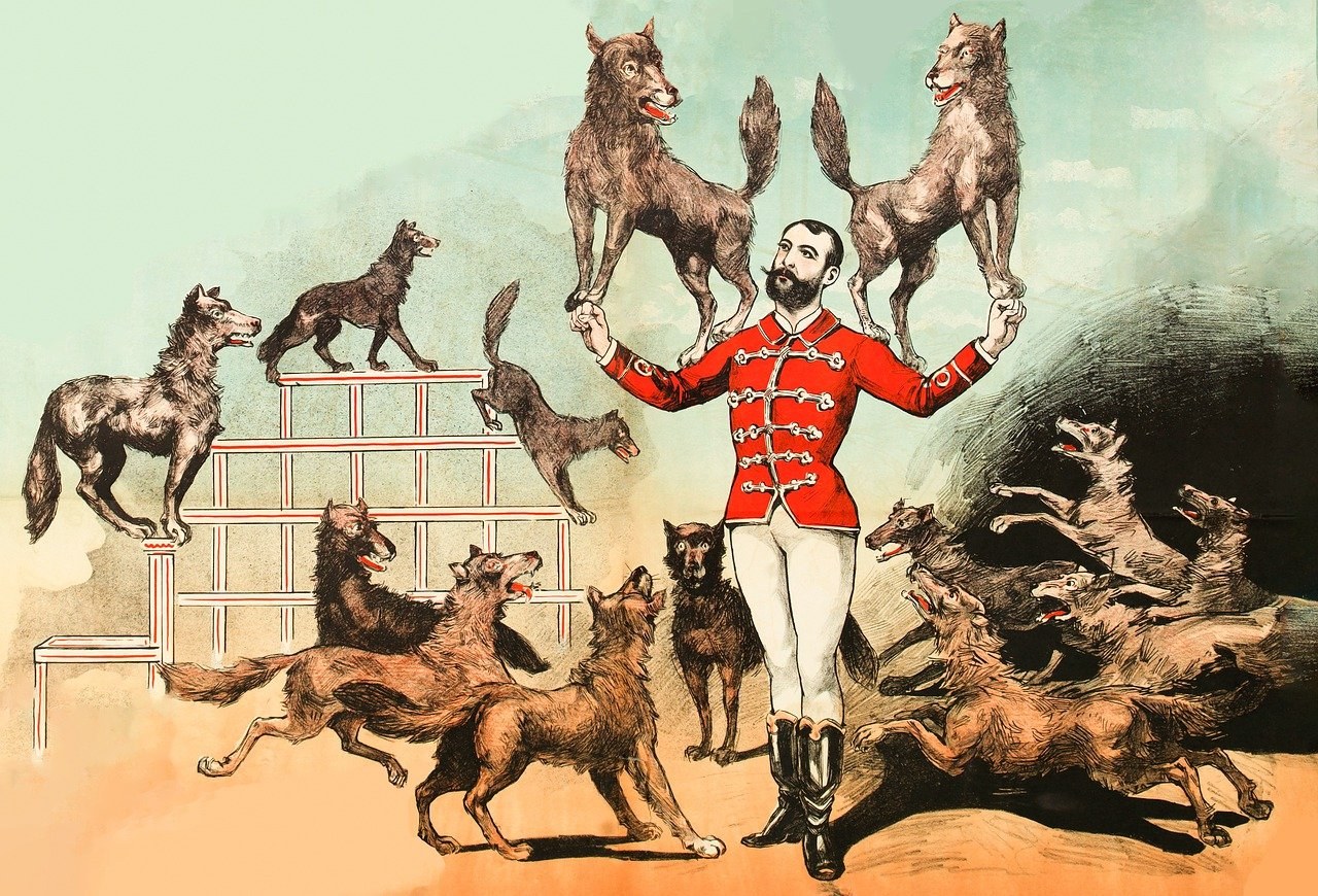 Plućna mineralizacija kod pasa: simptomi, uzroci i liječenje