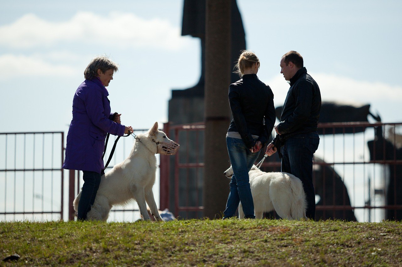 Plućna mineralizacija kod pasa: simptomi, uzroci i liječenje