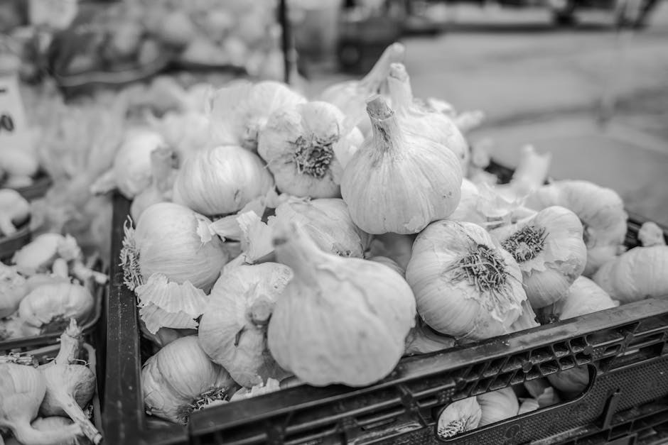 Zašto pseće šape mirišu na kukuruzni čips Fritos