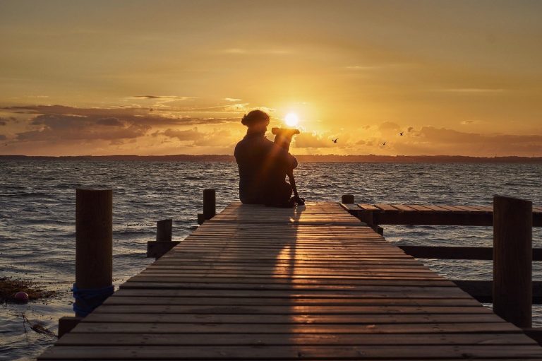 Smiju li psi jesti mamey sapote i je li to sigurno?