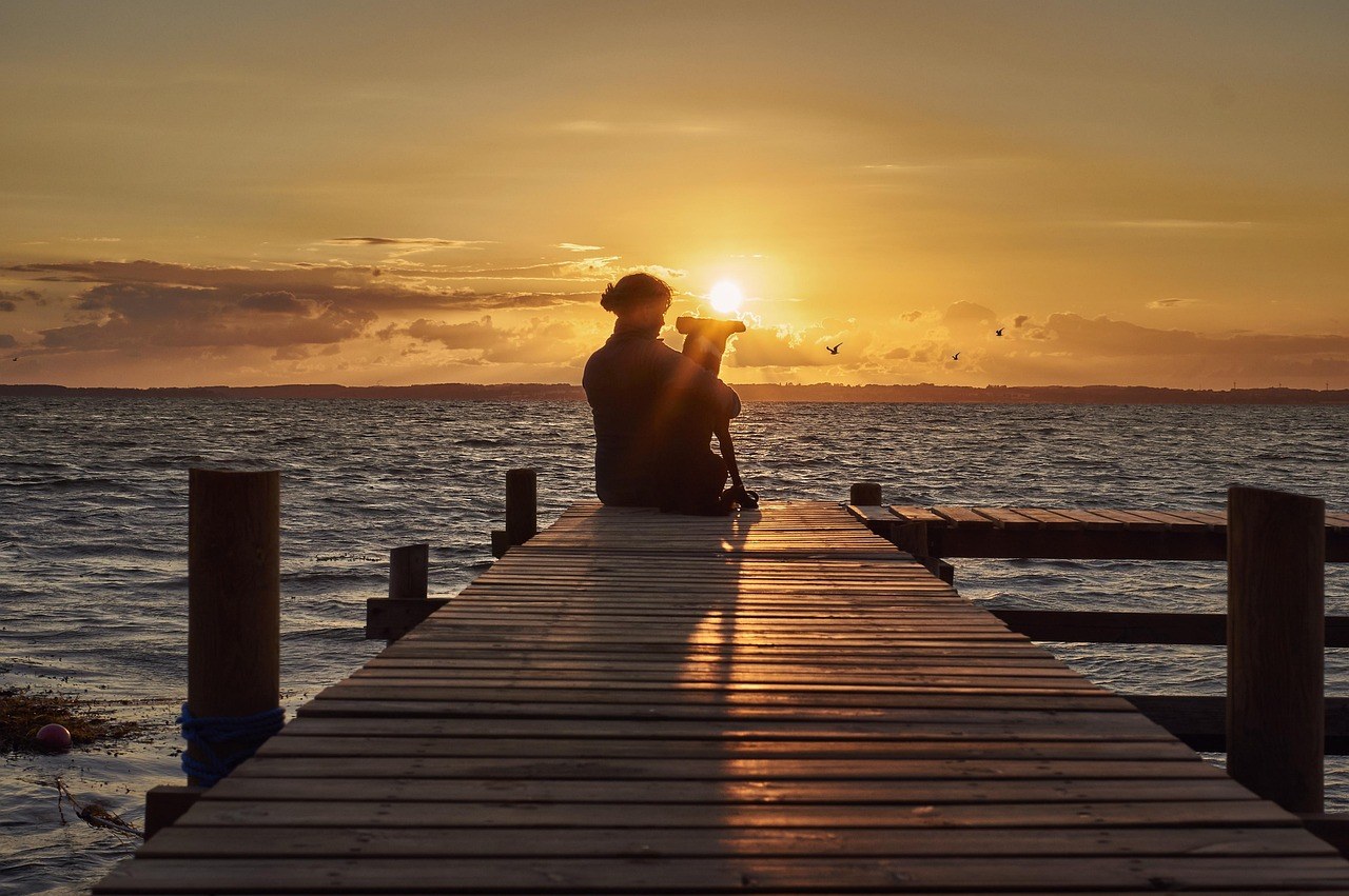 Smiju li psi jesti mamey sapote i je li to sigurno?