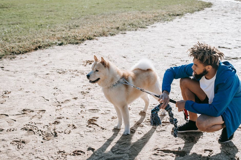 Problemi vlasnika ljubimaca: „Moje štene ne prestaje grickati hlače!“