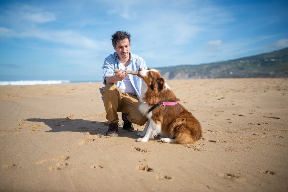 Astma kod pasa: simptomi, uzroci i liječenje