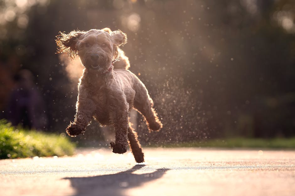 Klostridijalna enterotoksemija u pasa: simptomi, uzroci i liječenje