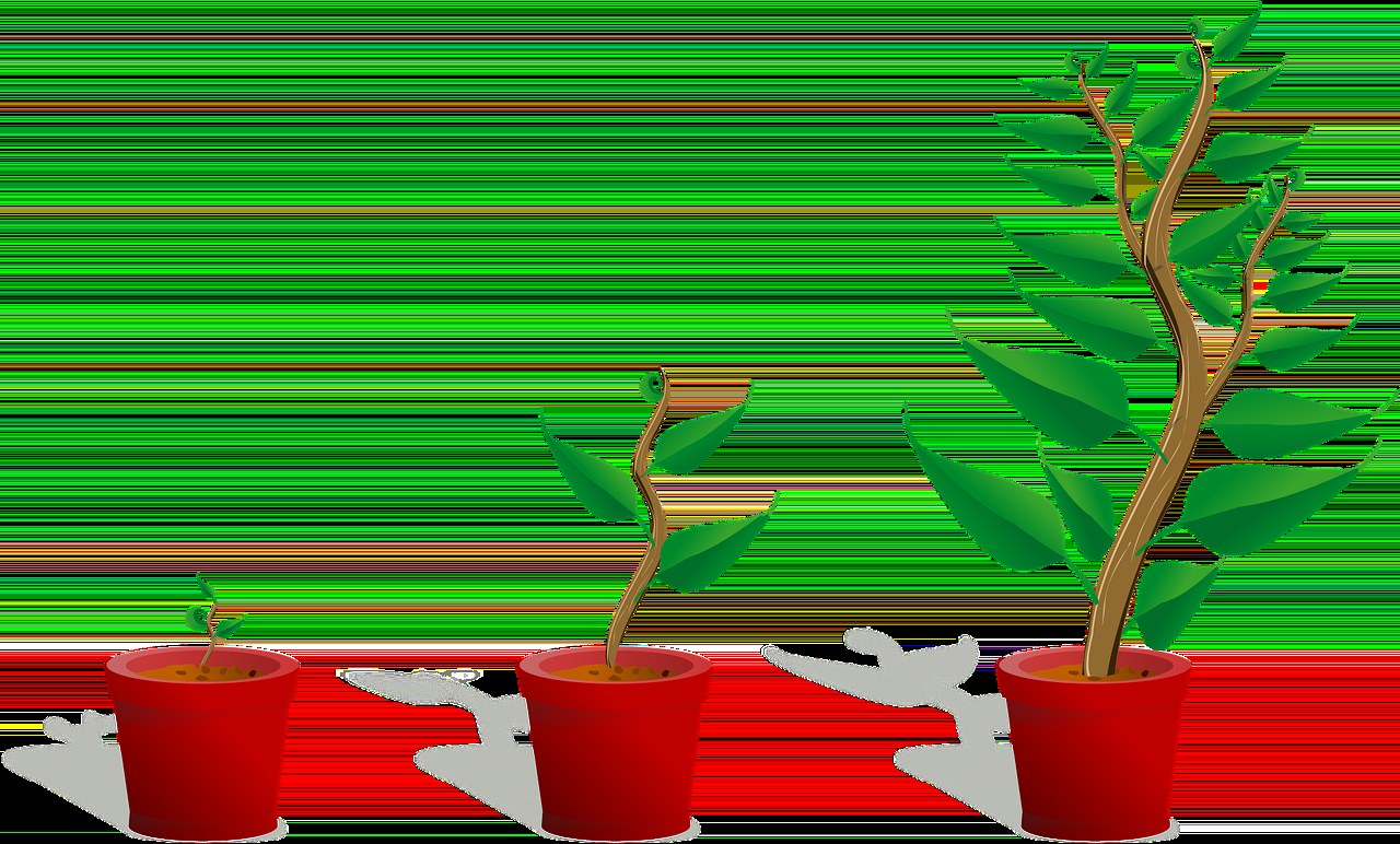 Karcinoidni karcinom kod pasa: simptomi, uzroci i liječenje