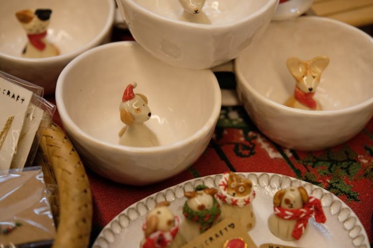 Poremećaji noktiju kod pasa: simptomi, uzroci i liječenje