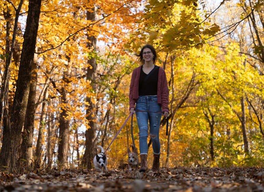 Atrijski septalni defekt kod pasa: simptomi, uzroci i liječenje