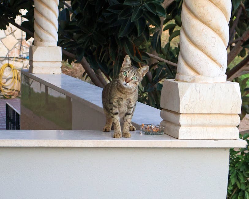 pancitopenija kod pasa: simptomi, uzroci i liječenje