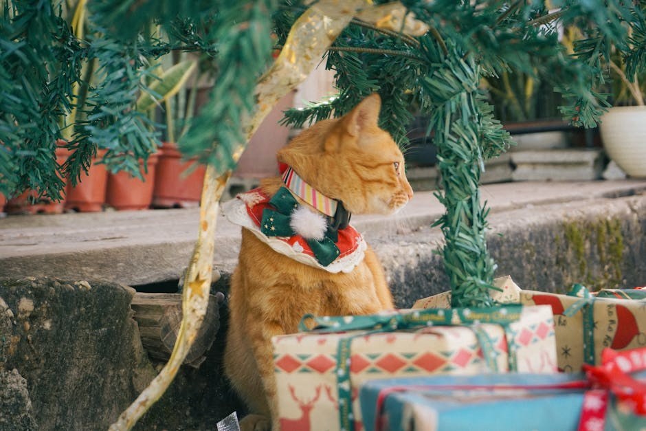 Nagib glave psa može otkriti tragove o njegovim kognitivnim sposobnostima