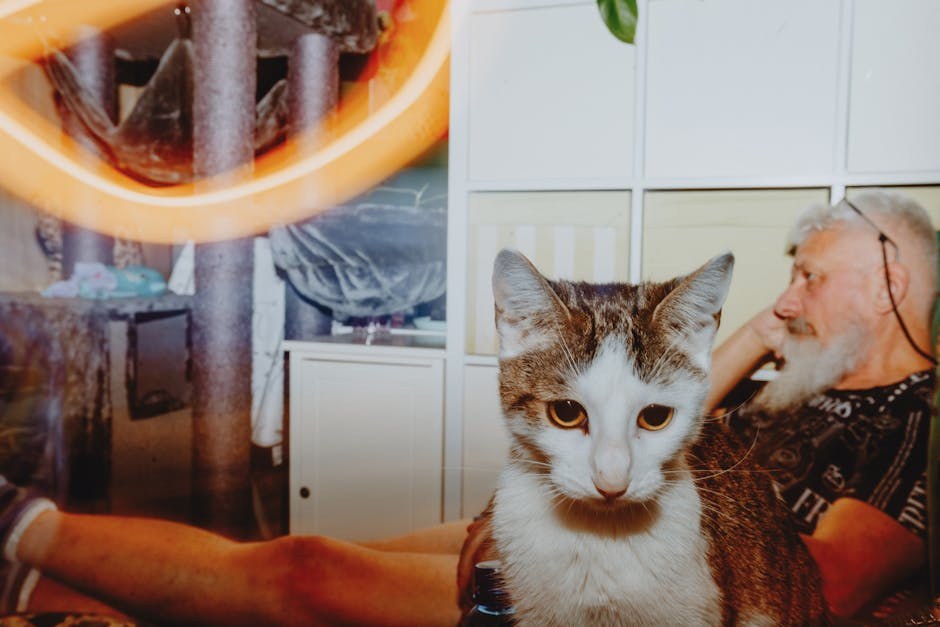 Infekcija Bartonella kod pasa: simptomi, uzroci i mogućnosti liječenja