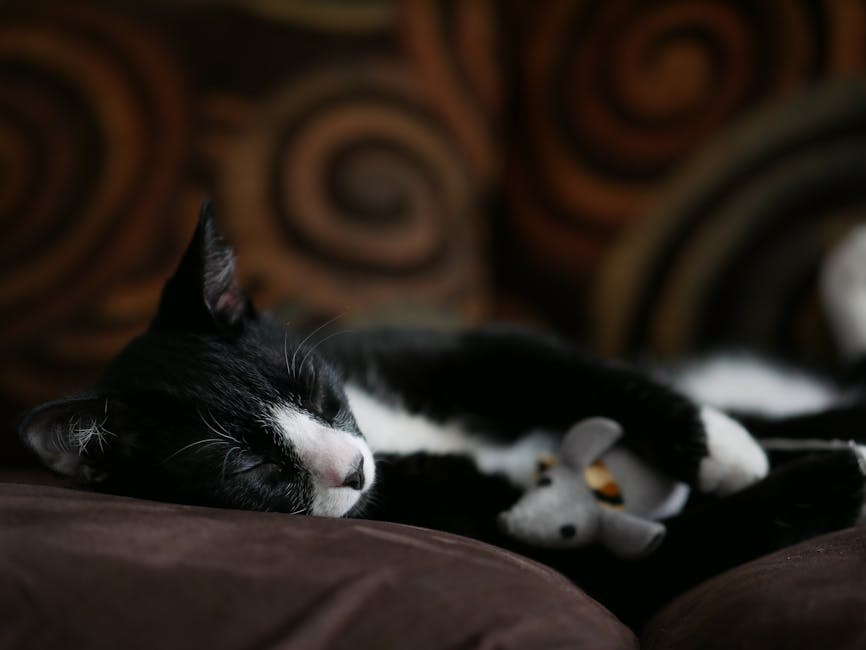 Hemotoraks kod pasa: simptomi, uzroci i veterinarsko liječenje