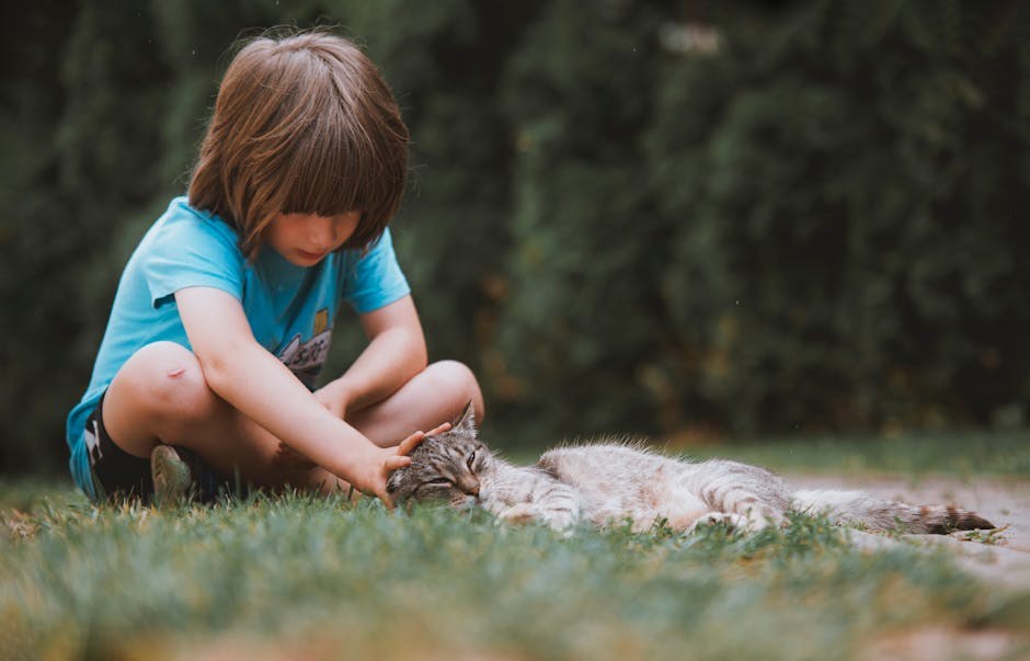 Fibrosarkom kod pasa: simptomi, uzroci i liječenje