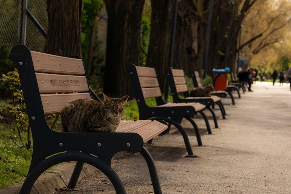 Kako izmjeriti temperaturu psa termometrom kod kuće