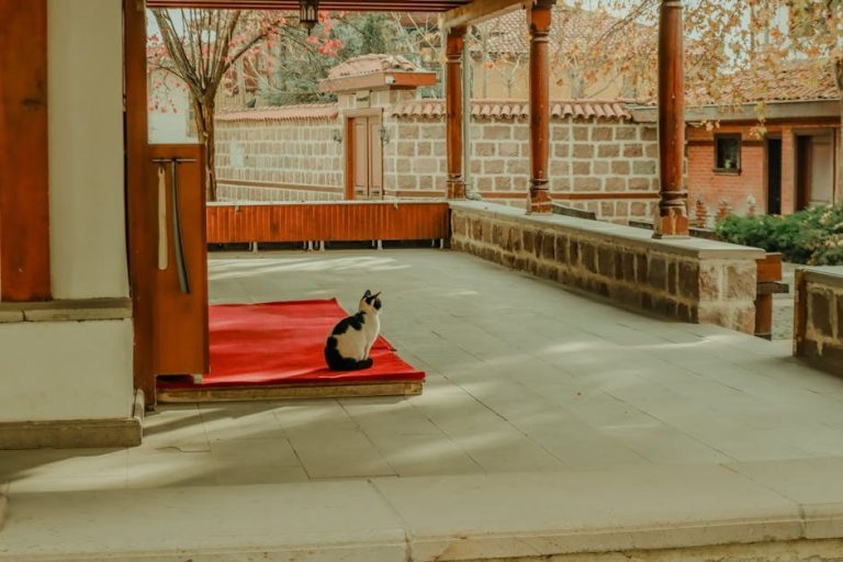 Dobrovoljni nacionalni opoziv konzervirane pseće hrane: Fromm Family Foods i povišeni vitamin D