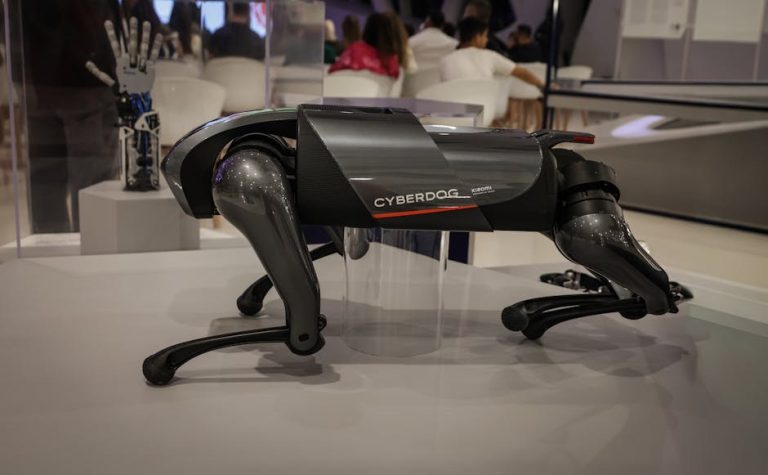 Zlatne duše, sijede njuške: 5 načina pomoći starijim psima zimi