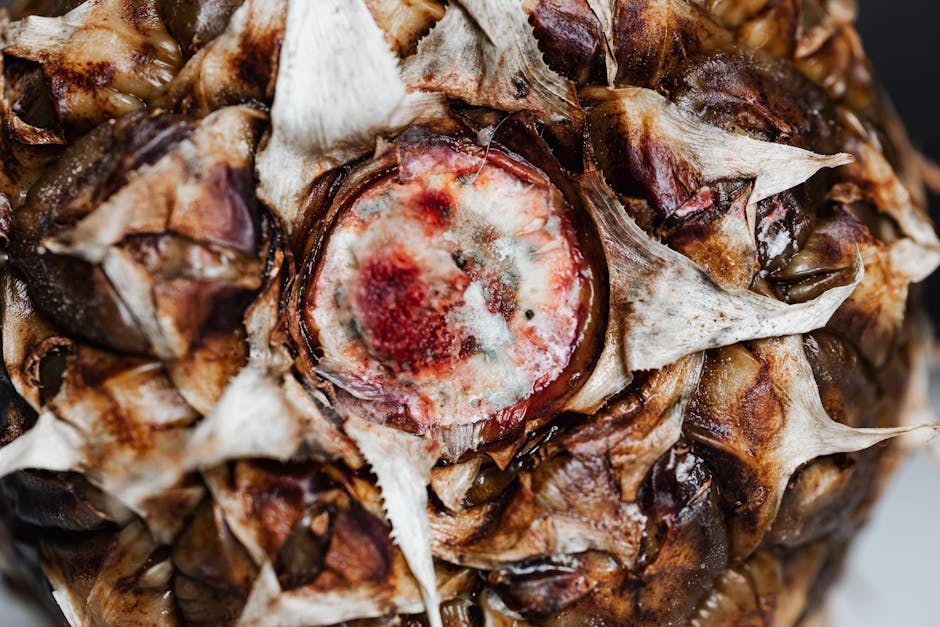 Stariji psi: pravilna skrb i što očekivati