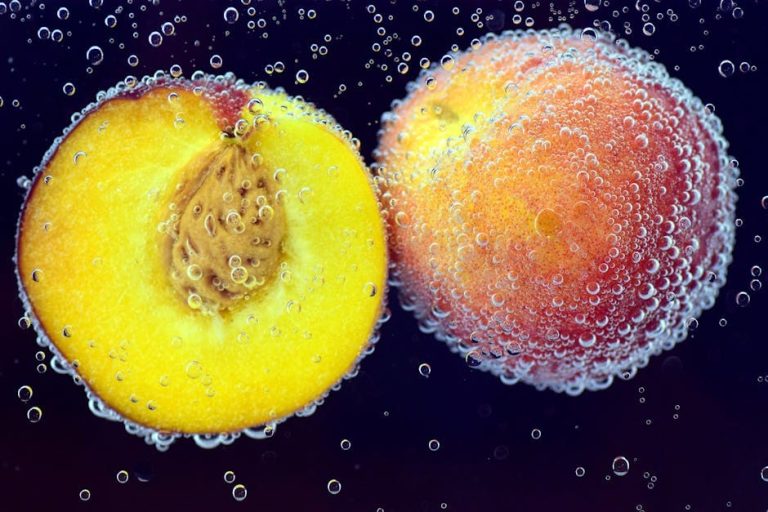 Stariji psi: pravilna skrb i što očekivati