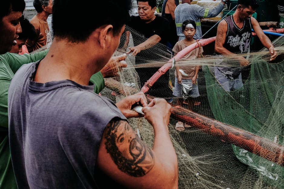 Specifični nekrotizirajući encefalitis kod pasa: simptomi, uzroci i liječenje