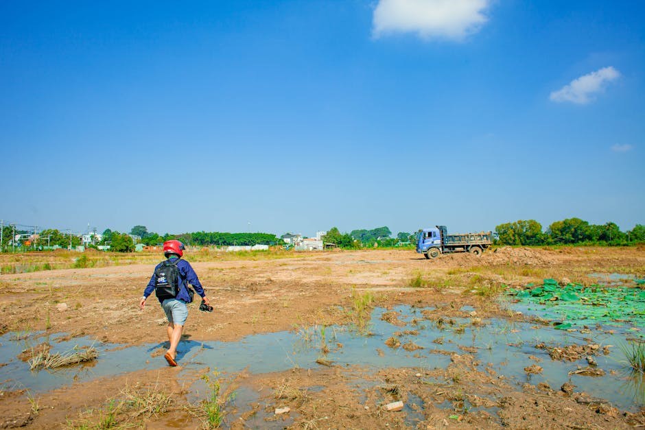 Specifični nekrotizirajući encefalitis kod pasa: simptomi, uzroci i liječenje