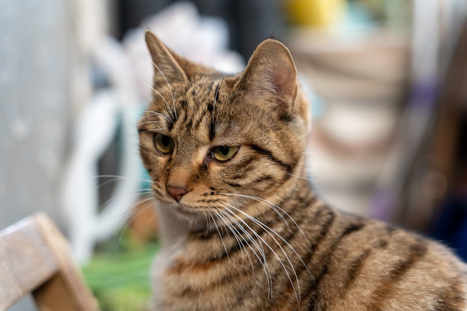 5 poremećaja hranjenja koji mogu pogoditi pse