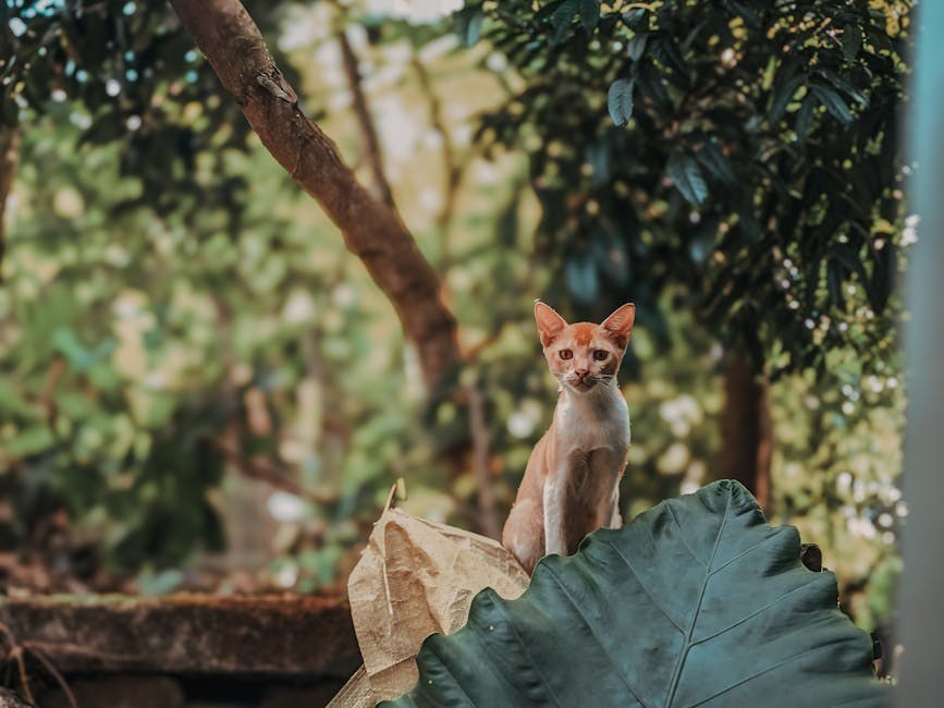 Zašto se pas naslanja na mene?