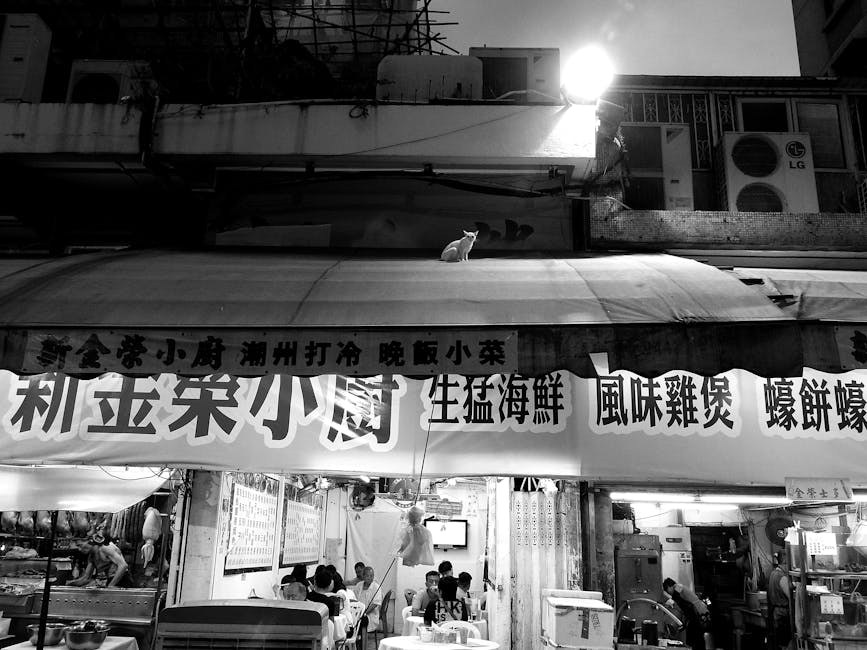 Smijem li psu dati paracetamol? Odgovor je ne - i evo zašto