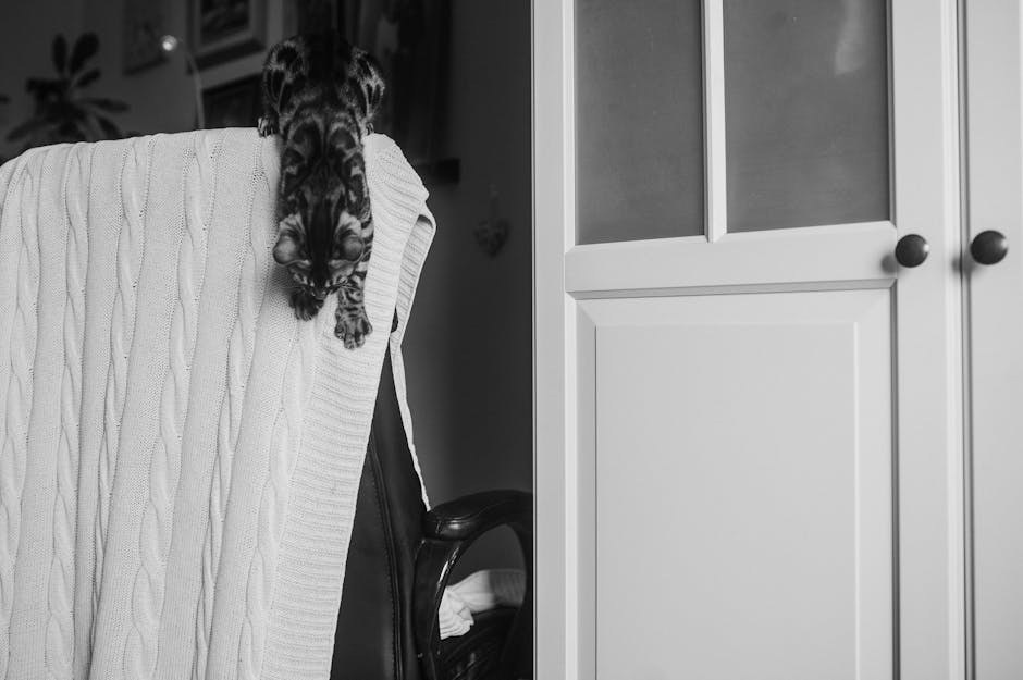 Pneumotoraks kod pasa: simptomi, uzroci i liječenje