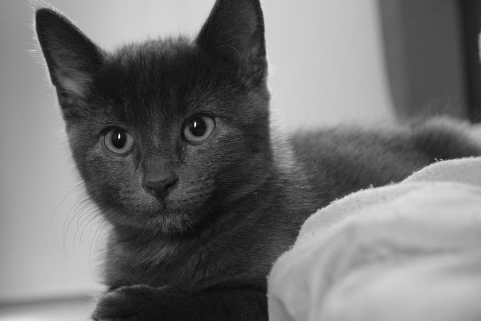 Trovanje arsenom kod pasa: simptomi, uzroci i liječenje