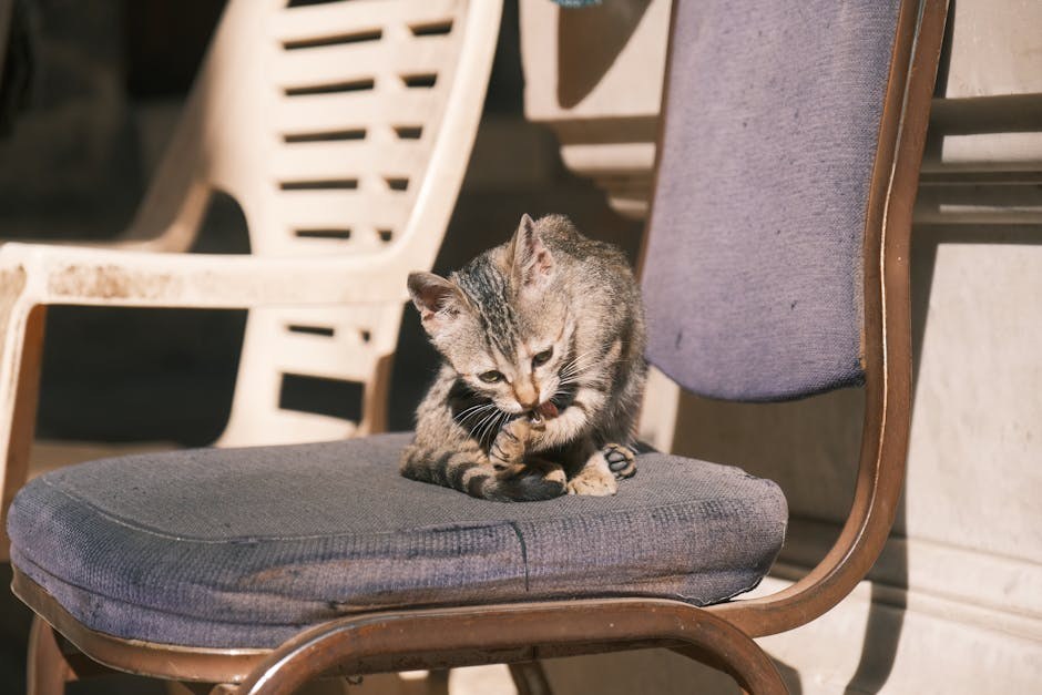 5 sigurnijih dodataka prehrani za pse: povrće, probiotics i omega-3