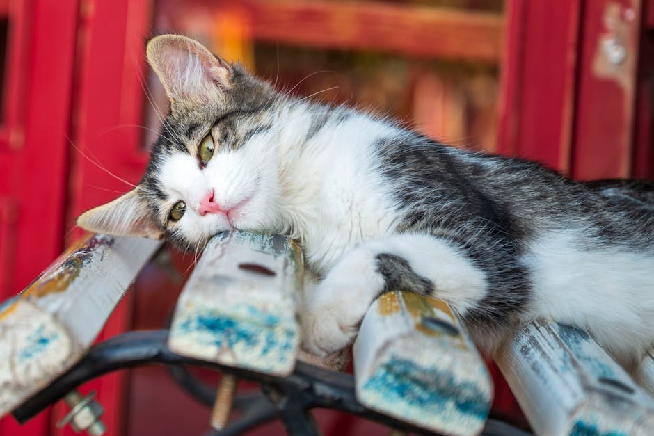 5 sigurnijih dodataka prehrani za pse: povrće, probiotics i omega-3