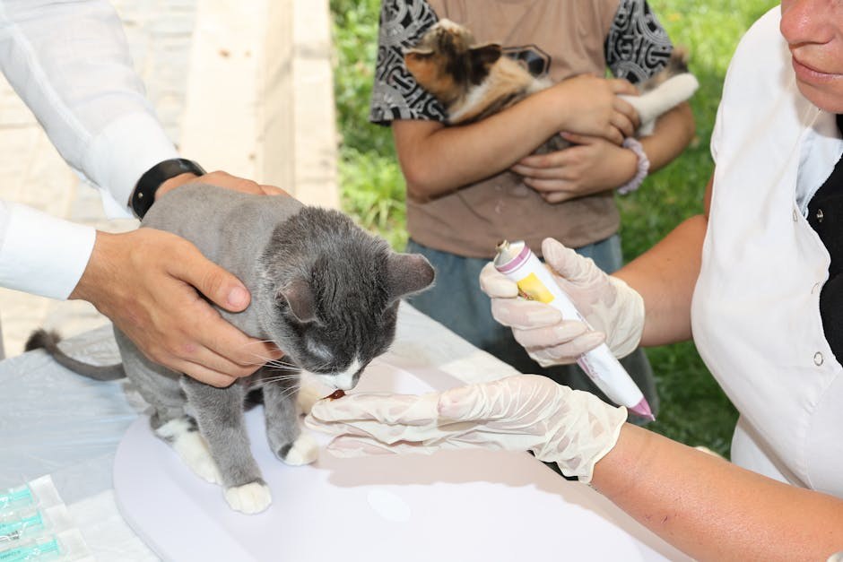 Plavo-zelene alge mogu usmrtiti pse: nedavni cvatovi u Austinu podsjećaju na sigurnost ljubimaca