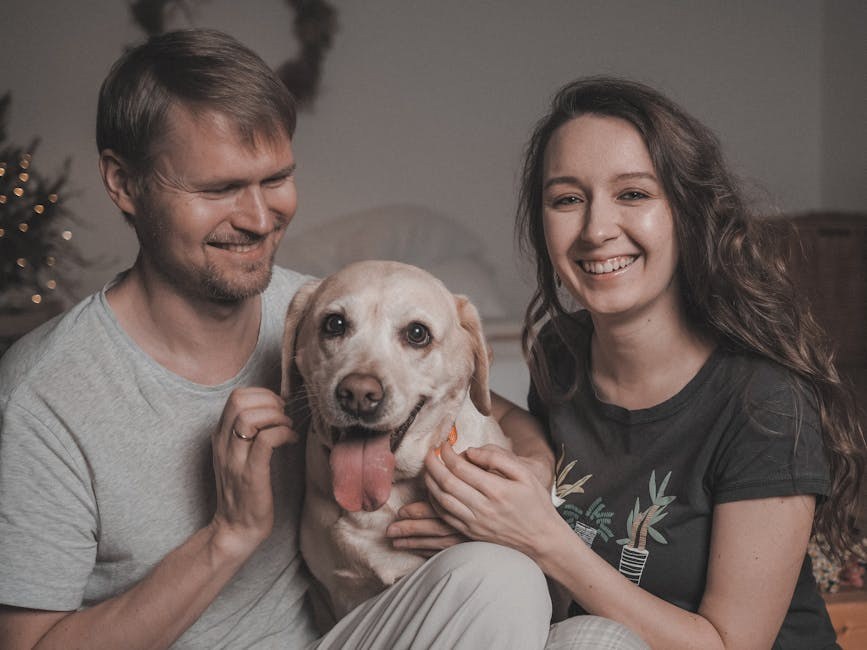 Smije li pas pojesti pickle ? Kada su kiseli krastavci rizični