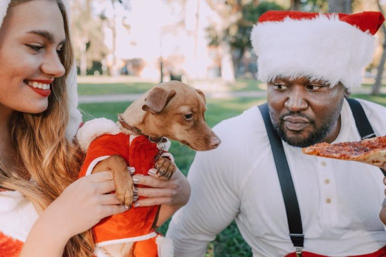 Smije li pas pojesti pickle ? Kada su kiseli krastavci rizični