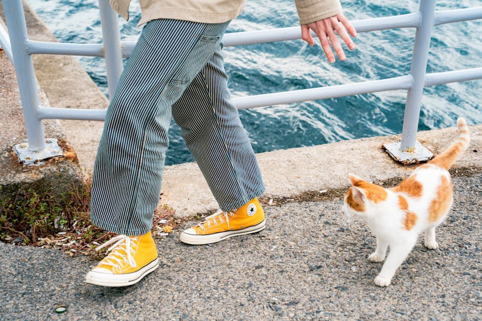 Rujan i Mjesec Responsible Dog Ownership : 6 navika za odgovorno vlasništvo psa