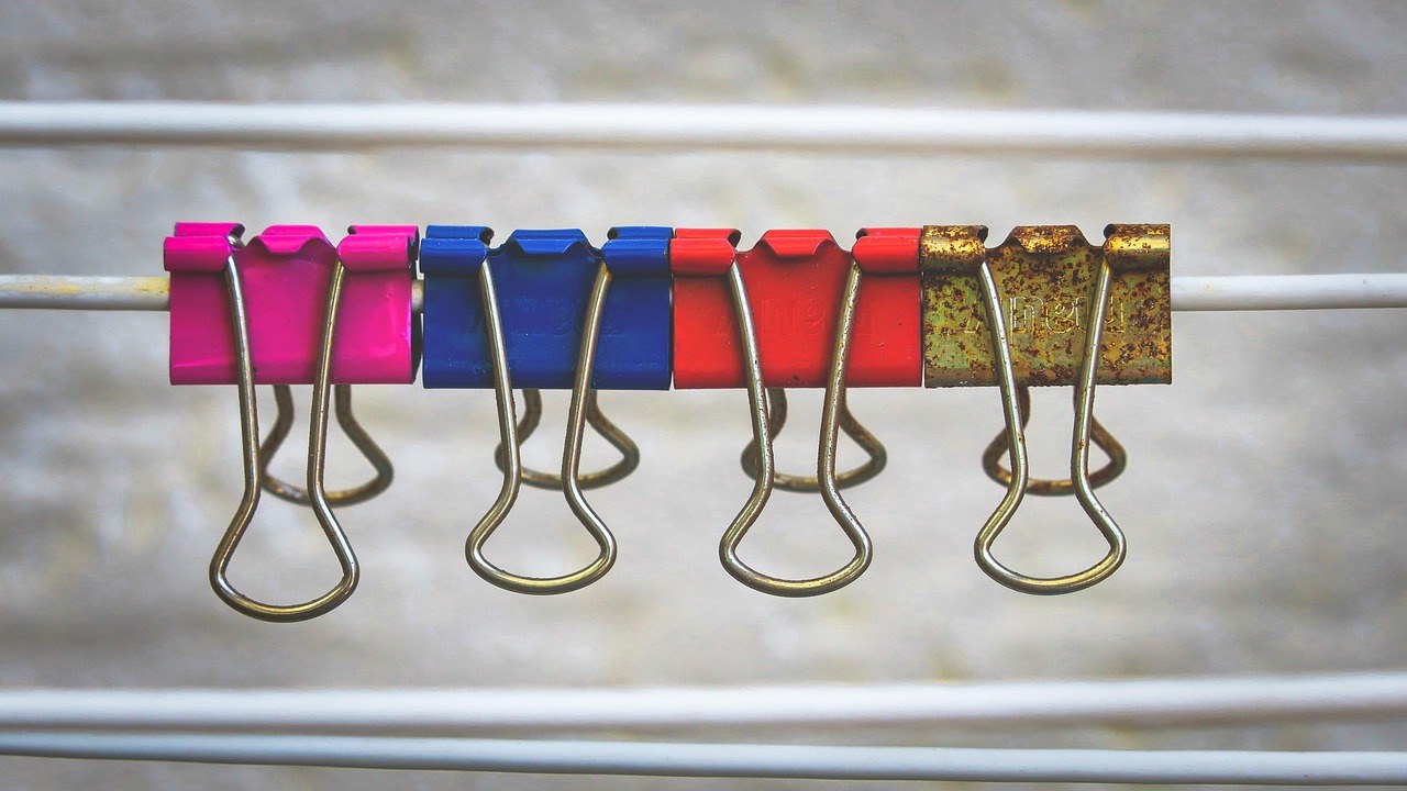 Opekline od sunca kod pasa: simptomi, uzroci i liječenje