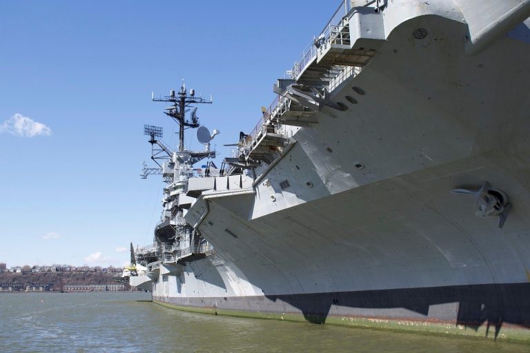 Osteoartritis kod pasa: uzroci, simptomi i liječenje