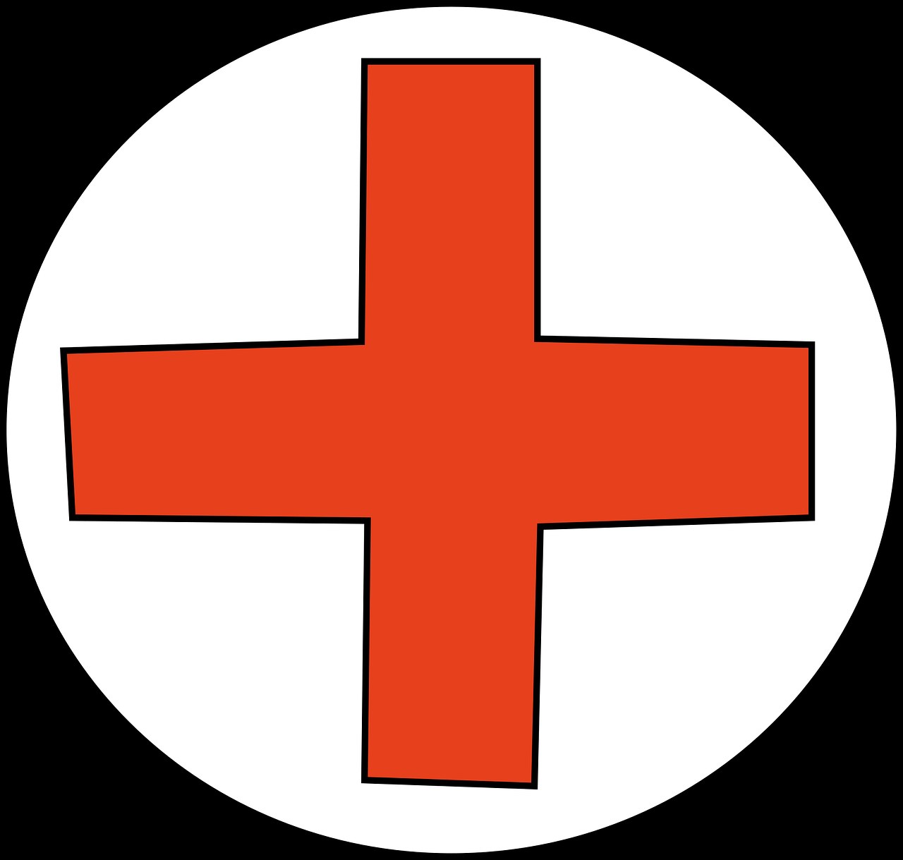 Kućni lijekovi za pse: 5 prirodnih rješenja za česte tegobe