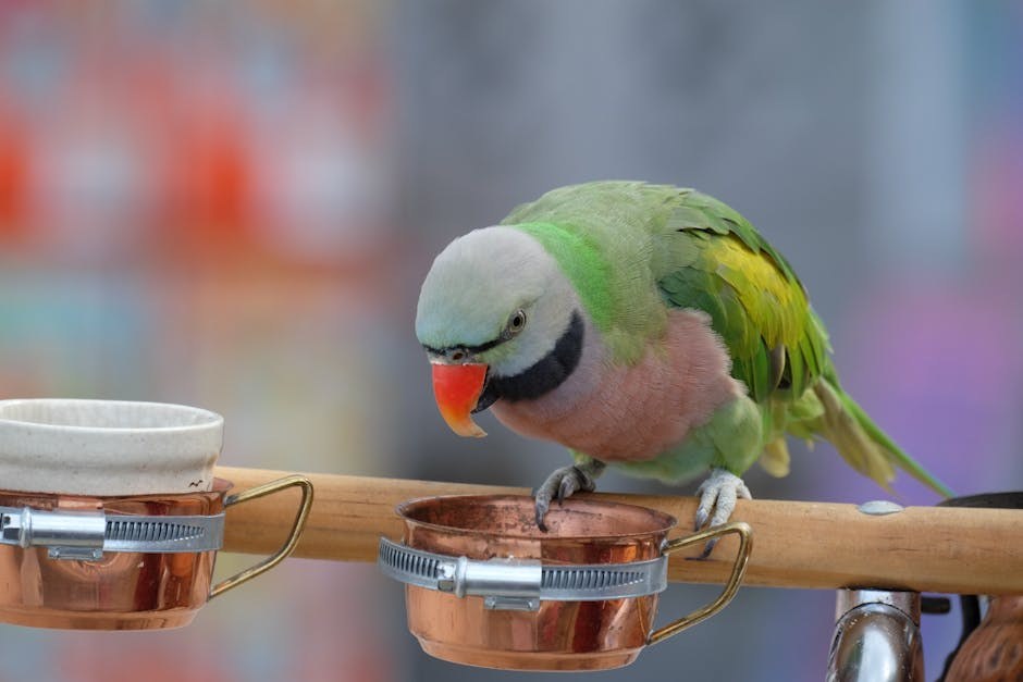 Sunshine Mills povlači pseću hranu zbog mogućeg aflatoksina