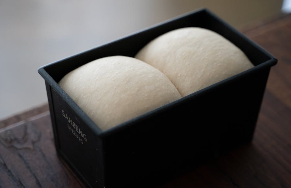 Vrući asfalt: kako može oštetiti šape psa i kako to spriječiti