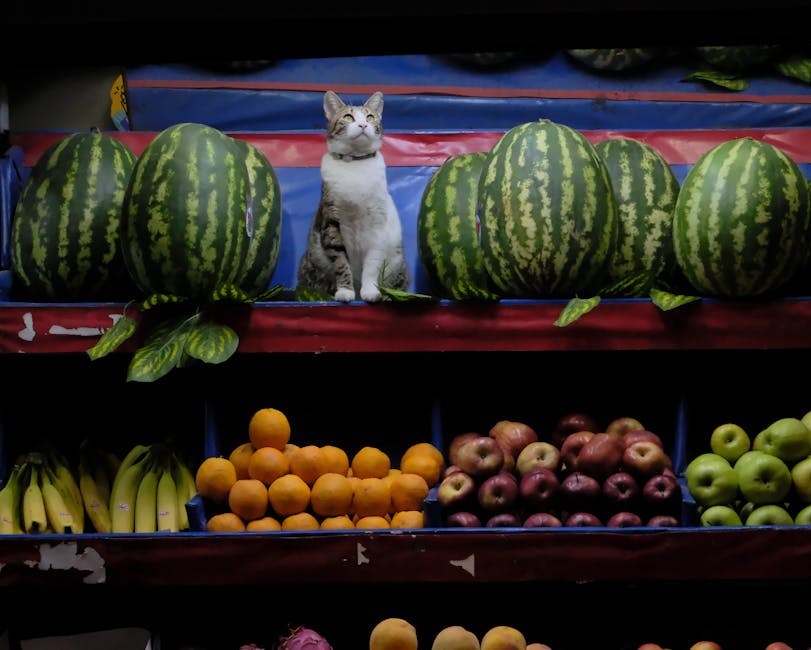 Roštilj ljeti: 10 skrivenih opasnosti i savjeta za sigurnost psa