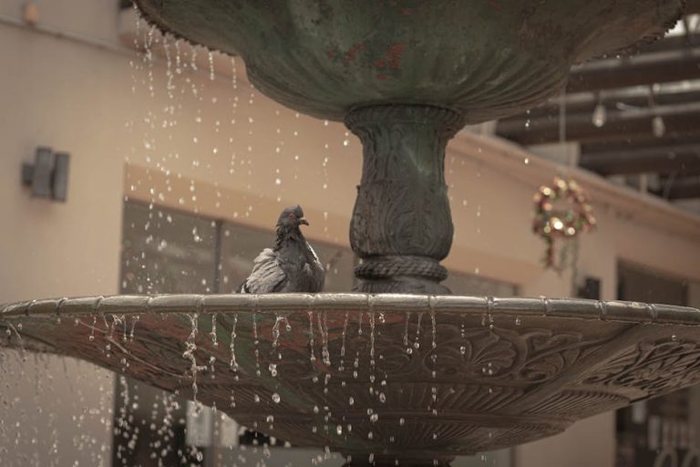 Addisonova bolest kod pasa: simptomi, uzroci i liječenje